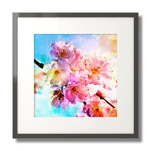 spring blossom